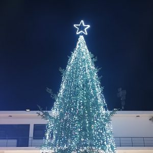 Άναψε το Χριστουγεννιάτικο δέντρο στο Δομοκό