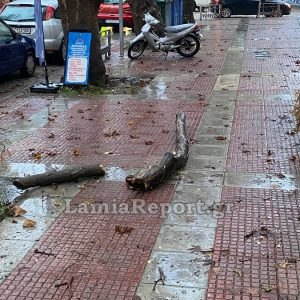 Λαμία: Βροχή και αέρας έριξαν δύο μεγάλα κομμάτια πλατάνου στα Γαλανέικα