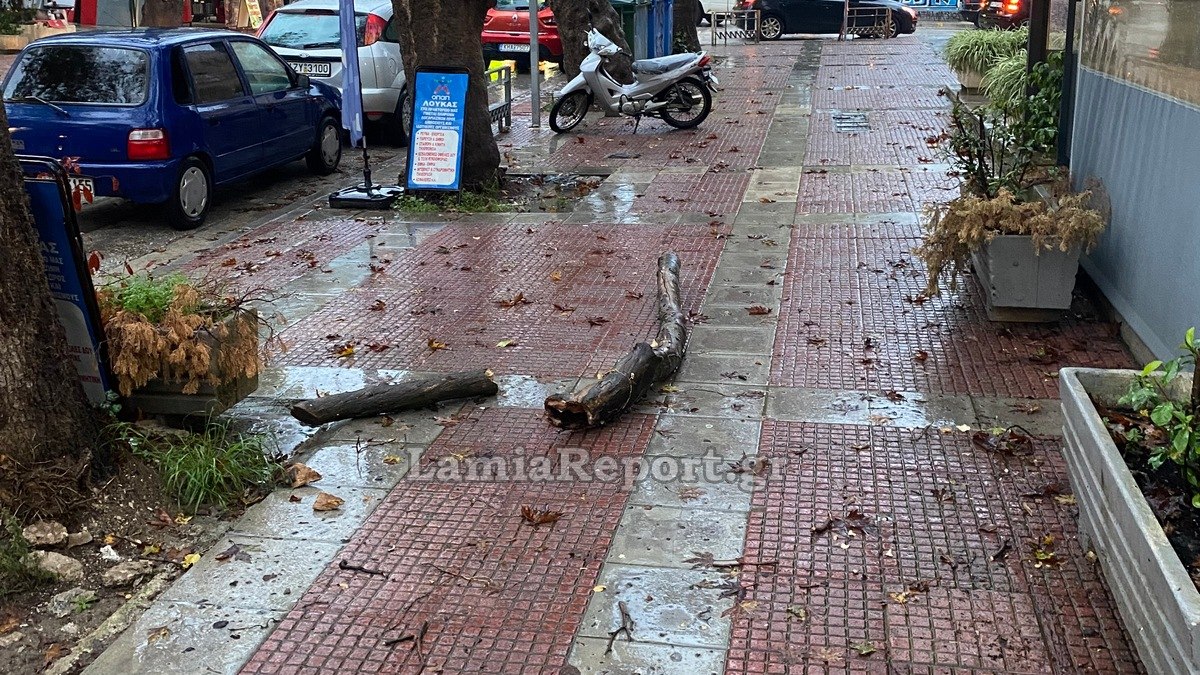 Λαμία: Βροχή και αέρας έριξαν δύο μεγάλα κομμάτια πλατάνου στα Γαλανέικα