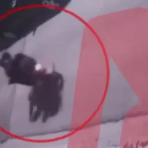 Επεισοδιακή καταδίωξη 12χρονου και 13χρονου που έκλεψαν μοτοσικλέτα από το Περιστέρι, δείτε βίντεο