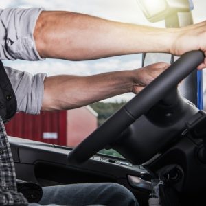 Έμπειρος επαγγελματίας οδηγός αναζητά εργασία