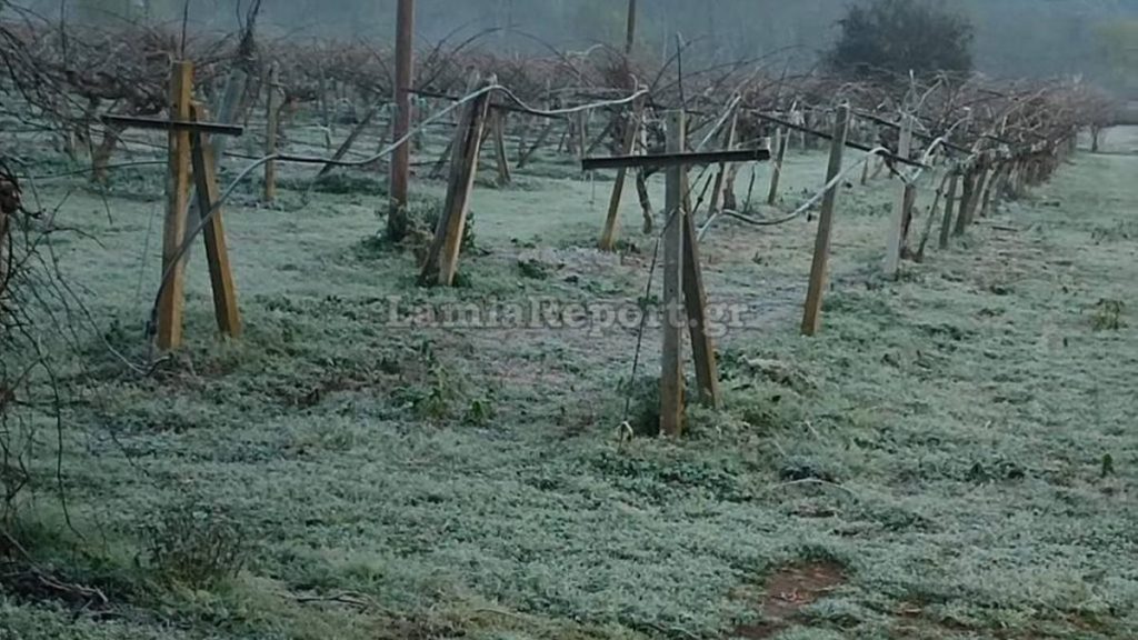 Φθιώτιδα: «Κλείδωσε», ήλιος με... δόντια για την Πρωτοχρονιά - Λίγα χιόνια το προηγούμενο βράδυ στα ορεινά
