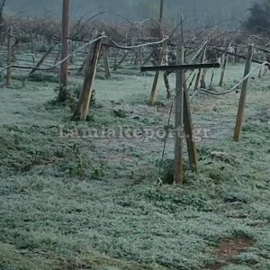 Φθιώτιδα: «Κλείδωσε» ήλιος με... δόντια για την Πρωτοχρονιά - Λίγα χιόνια το προηγούμενο βράδυ στα ορεινά