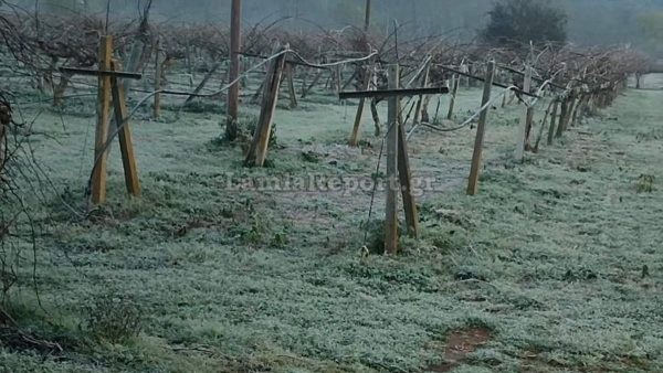 Φθιώτιδα: «Κλείδωσε», ήλιος με... δόντια για την Πρωτοχρονιά - Λίγα χιόνια το προηγούμενο βράδυ στα ορεινά