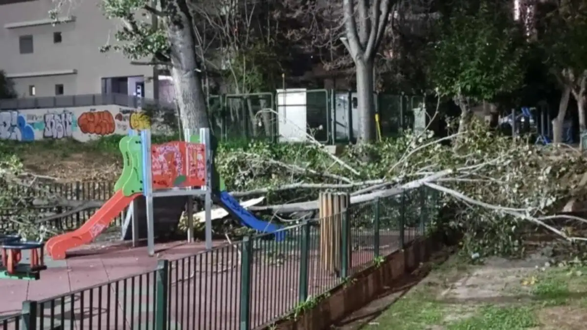 Χαϊδάρι: Δέντρο έπεσε σε παιδική χαρά – Δείτε εικόνες