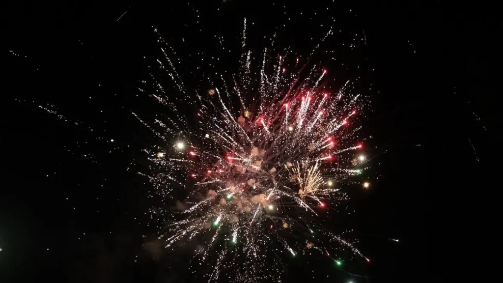 Τι είναι τα αθόρυβα πυροτεχνήματα και πως συμβάλουν στην προστασία των ζώων