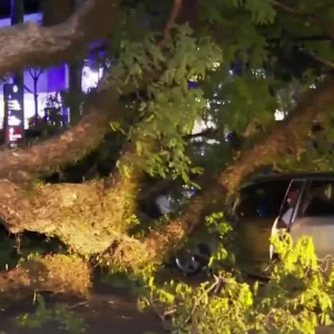 Βραζιλία: Κυκλώνας «σάρωσε» το Σάο Πάολο – 2 εκατ. κάτοικοι χωρίς ρεύμα, ακυρώσεις εκατοντάδων πτήσεων