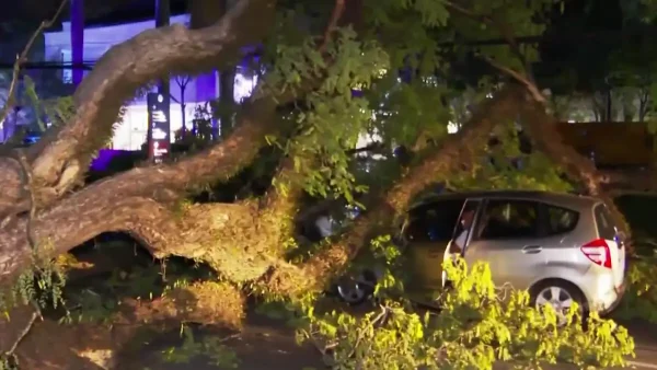 Βραζιλία: Κυκλώνας «σάρωσε» το Σάο Πάολο – 2 εκατ. κάτοικοι χωρίς ρεύμα, ακυρώσεις εκατοντάδων πτήσεων