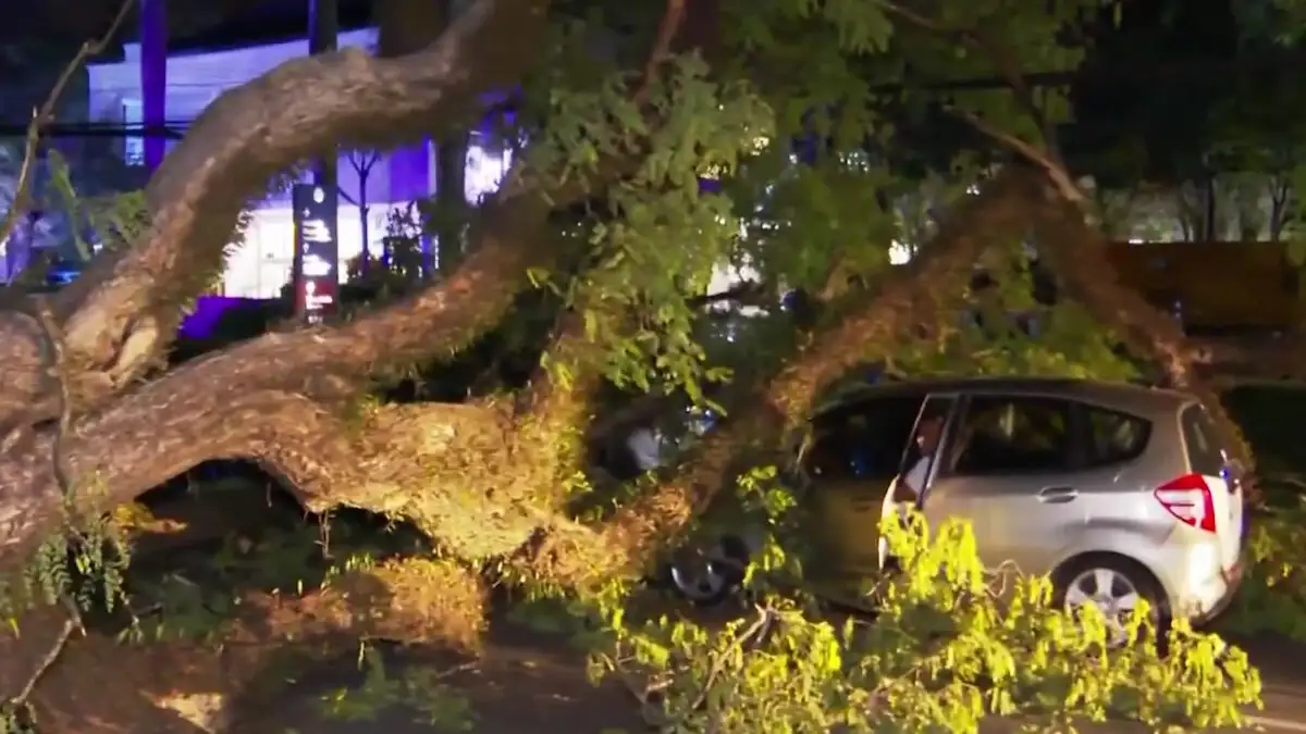 Βραζιλία: Κυκλώνας «σάρωσε» το Σάο Πάολο – 2 εκατ. κάτοικοι χωρίς ρεύμα, ακυρώσεις εκατοντάδων πτήσεων