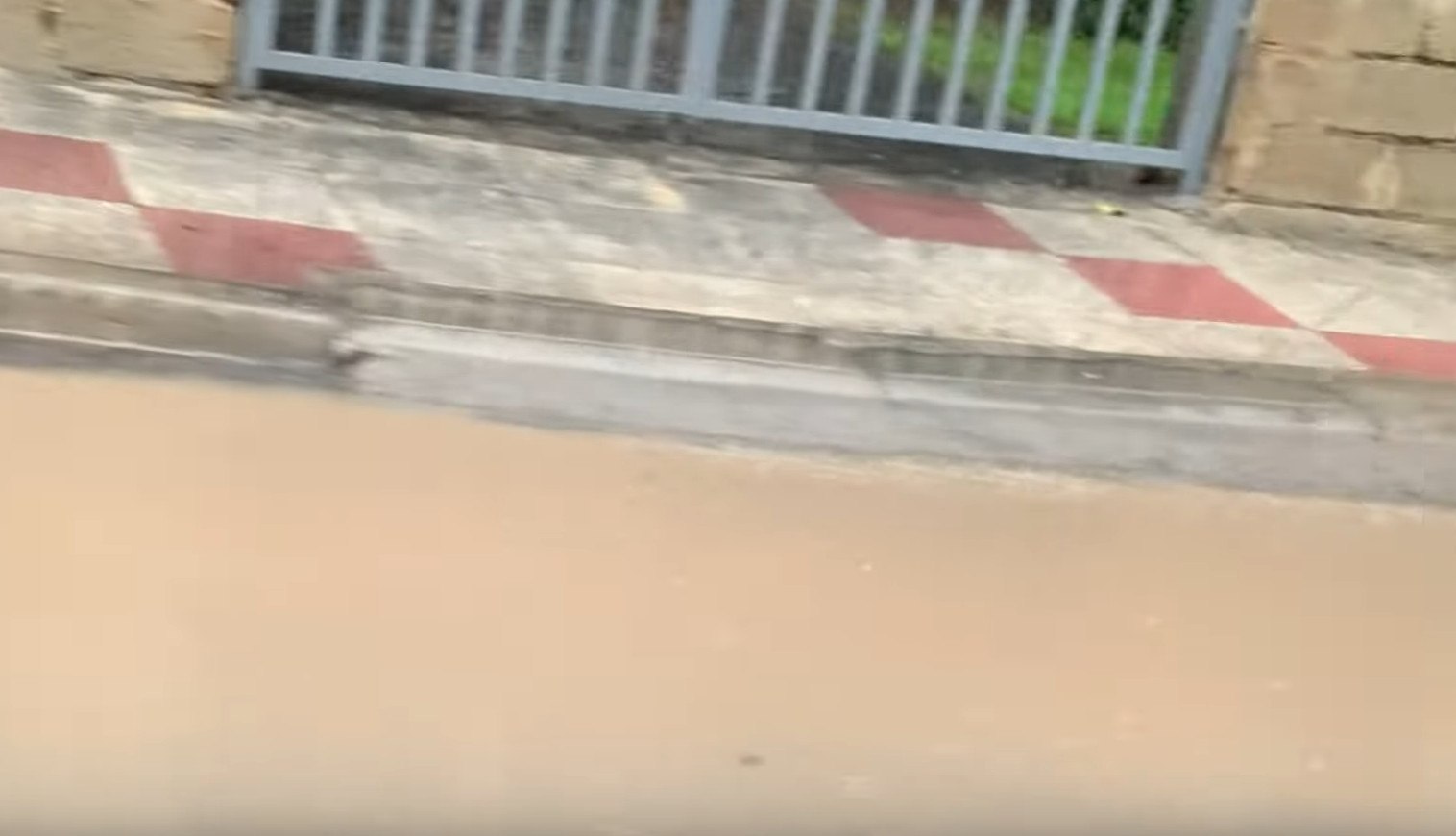 Πλημμυρισμένοι δρόμοι στην Εύβοια