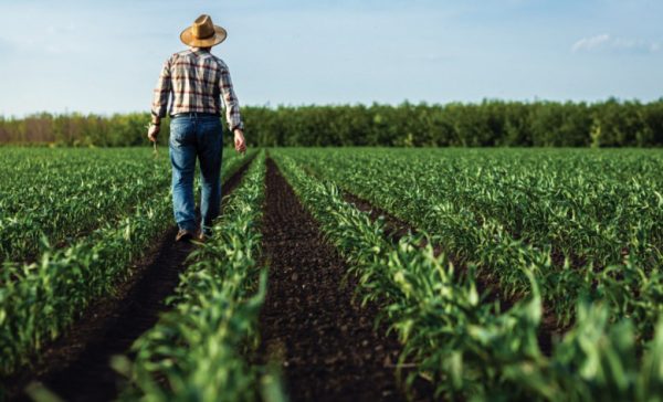 Μηνιαίο ενημερωτικό δελτίο τιμών αγροτικών προϊόντων από την Τράπεζα Πειραιώς