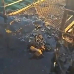 Οι Ουκρανοί κατηγορούν τους Ρώσους ότι επιτέθηκαν με drone σε τουρκικό εμπορικό πλοίο στη Μαύρη Θάλασσα, δείτε βίντεο