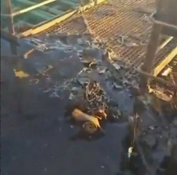 Οι Ουκρανοί κατηγορούν τους Ρώσους ότι επιτέθηκαν με drone σε τουρκικό εμπορικό πλοίο στη Μαύρη Θάλασσα, δείτε βίντεο