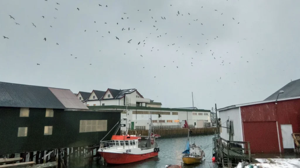 Το νησί που κατάργησε τον χρόνο, οι κάτοικοι ζουν χωρίς ρολόγια και ωράριο