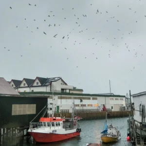 Το νησί που κατάργησε τον χρόνο, οι κάτοικοι ζουν χωρίς ρολόγια και ωράριο