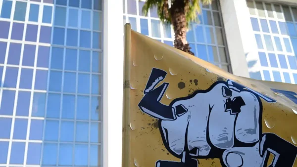 Χρυσή Αυγή: Καταπέλτης η εισαγγελέας – Εγκληματική οργάνωση με ναζιστική ιδεολογία