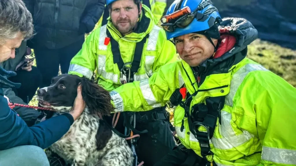 Ομάδα ακτοφυλακής σώζει σκύλο που είχε εγκλωβιστεί σε γκρεμό 30 μέτρων στη Βρετανία, δείτε βίντεο