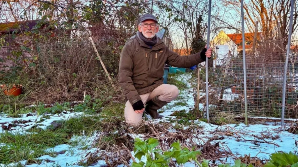 Έτρωγε αυγά από τον κήπο του 40 χρόνια: Τώρα το κράτος τα χαρακτηρίζει «επικίνδυνα απόβλητα»