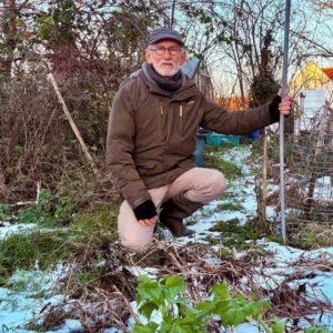 Έτρωγε αυγά από τον κήπο του 40 χρόνια: Τώρα το κράτος τα χαρακτηρίζει «επικίνδυνα απόβλητα»