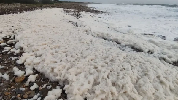 Χανιά: Απόκοσμο σκηνικό από την κακοκαιρία – Παραλία στην Παλαιοχώρα γέμισε αφρούς