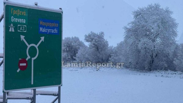 Το ‘στρωσε από άκρη σε άκρη στο Δήμο Δομοκού - Ολονύχτια μάχη με τα χιόνια να μείνουν οι δρόμοι ανοιχτοί (ΒΙΝΤΕΟ-ΦΩΤΟ)
