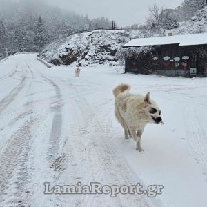 Μερομήνια 2026 - 2027: Από «λευκά» Χριστούγεννα και πολικό ψύχος σε δύο ισχυρούς καύσωνες