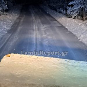 Αρκετό χιόνι στο δρόμο προς το Χιονοδρομικό Κέντρο Παρνασσού (ΒΙΝΤΕΟ)