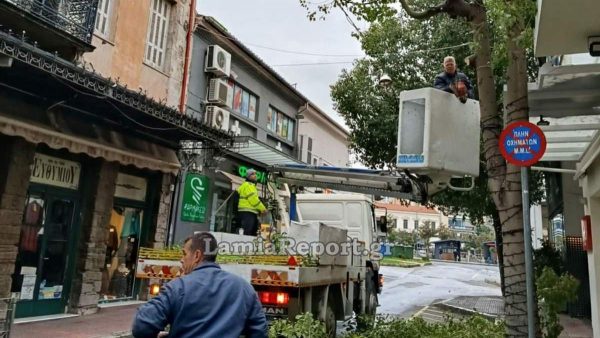 Λαμία: Ο Αντιδήμαρχος πήρε το… πριόνι του και ανέβηκε στο καλάθι (ΦΩΤΟ)