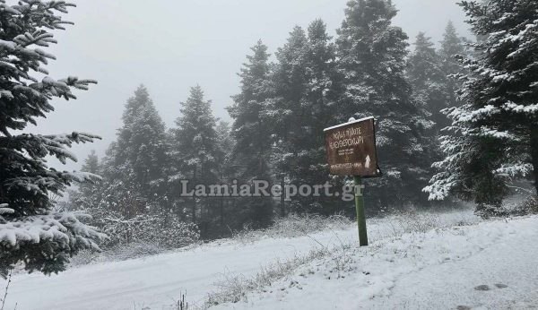 Φθιώτιδα: Οι χαμηλές θερμοκρασίες υπόσχονται λίγα χιόνια και πιο… χαμηλά