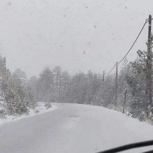 Περιπέτεια για δύο νεαρούς στο καταφύγιο της Δίρφυς