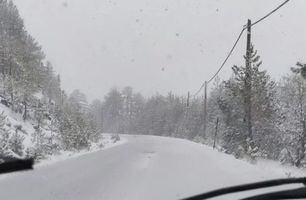 Περιπέτεια για δύο νεαρούς στο καταφύγιο της Δίρφυς