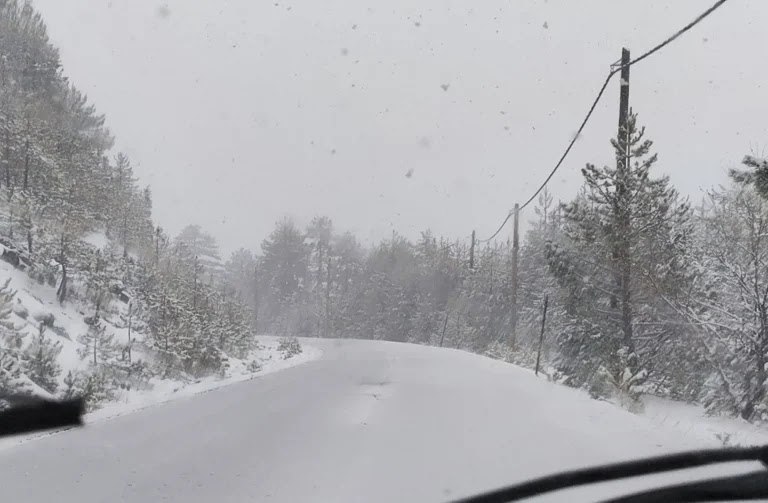 Περιπέτεια για δύο νεαρούς στο καταφύγιο της Δίρφυς