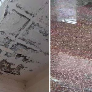 1ο ΕΠΑΛ Λαμίας: Σε αυτές τις αίθουσες κάνουμε μάθημα (ΒΙΝΤΕΟ)