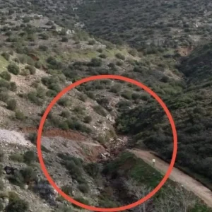 Ο ΔΕΔΔΗΕ απαντά στον δήμαρχο Γλυφάδας: Ανακριβείς οι αναφορές, δεν φταίει το έργο υπογειοποίησης για την καταστροφή