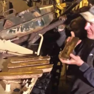 Άνοιξε ένα παλιό άρμα μάχης και βρήκε μέσα 5 ράβδους χρυσού: «Δεν ήξερα τι να κάνω»