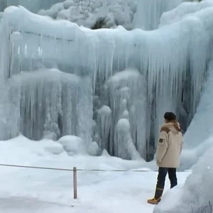 «Δάσος υπό το μηδέν» σχηματίστηκε στην Ιαπωνία: Παγοκρύσταλλα κρέμονται από δένδρα