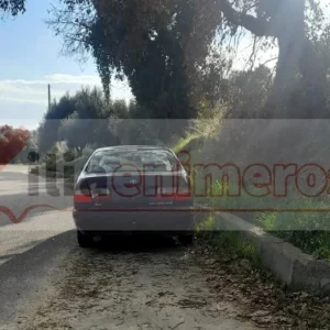 Νεκρός 79χρονος στην Ηλεία την ώρα που έκαιγε κλαριά