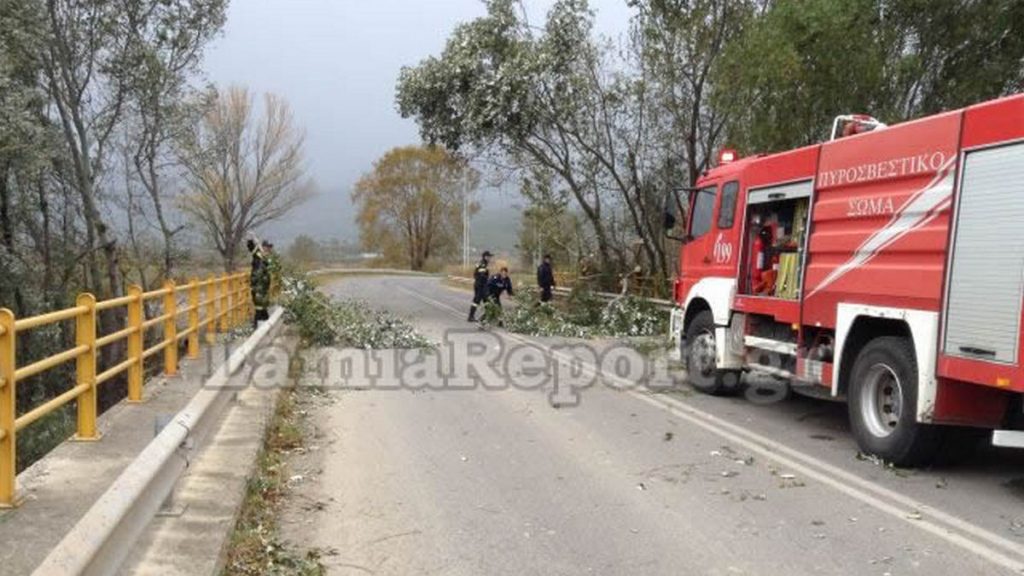 Λαμία: Έριξε δέντρα ο δυνατός αέρας