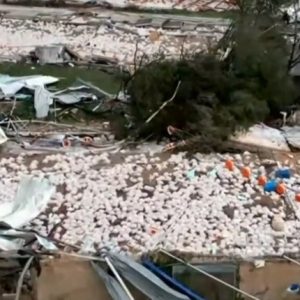 Ιωάννινα: Σε απόγνωση οι ιδιοκτήτες της πτηνοτροφικής μονάδας με τα 40.000 νεκρά κοτόπουλα