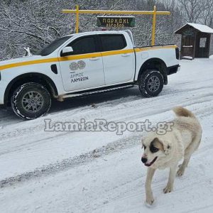 Σε επιφυλακή ο Δήμος Λαμιέων για την κακοκαιρία (ΒΙΝΤΕΟ-ΦΩΤΟ)