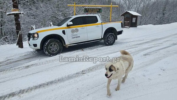 Σε επιφυλακή ο Δήμος Λαμιέων για την κακοκαιρία (ΒΙΝΤΕΟ-ΦΩΤΟ)