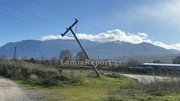 Έριξαν κολώνες και δέντρα οι θυελλώδεις άνεμοι στο Δήμο Μακρακώμης (ΦΩΤΟ)