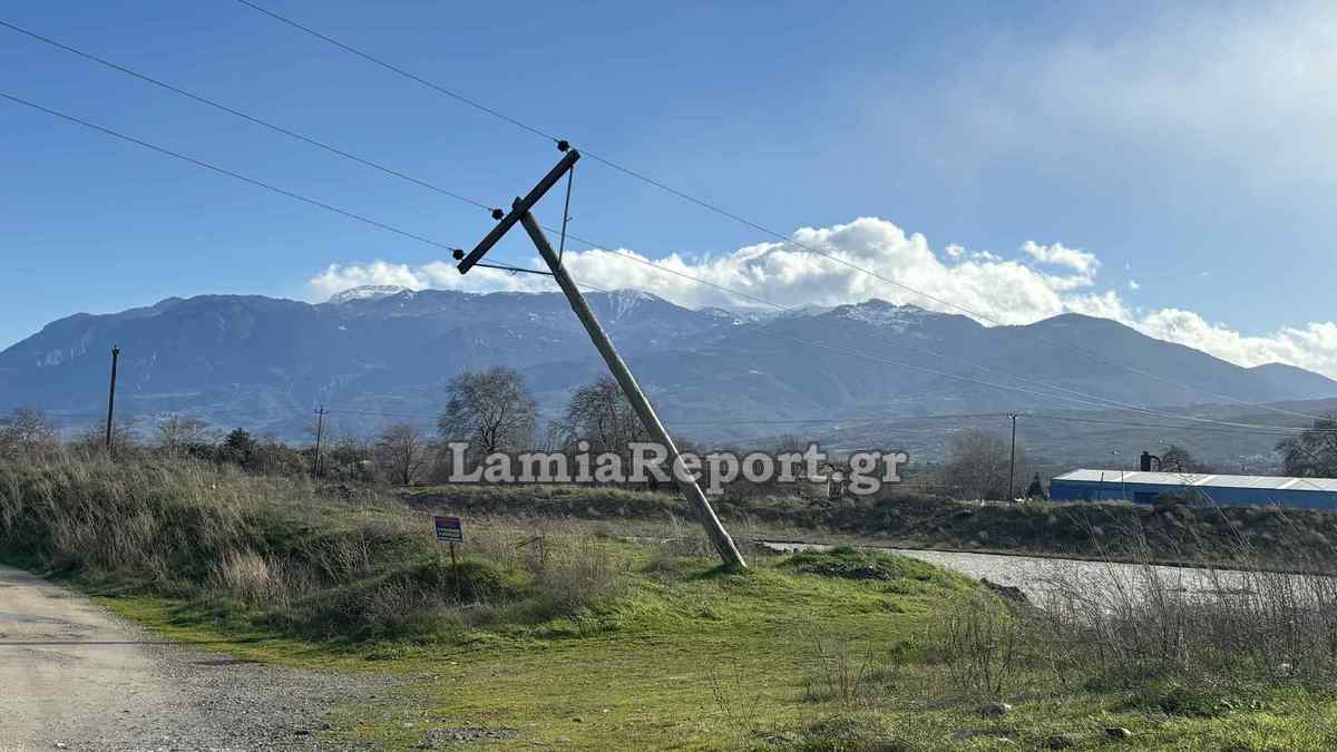 Έριξαν κολώνες και δέντρα οι θυελλώδεις άνεμοι στο Δήμο Μακρακώμης (ΦΩΤΟ)