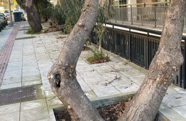 Αίτημα συντήρησης και καθαρισμού στην οδό Τυμφρηστού
