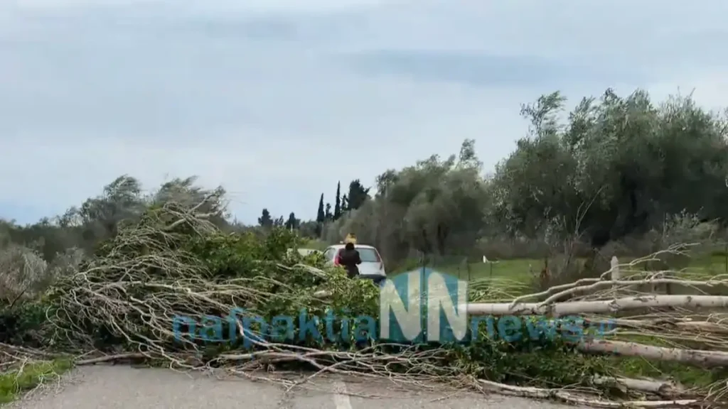Καιρός: Τους πήρε και τους σήκωσε στη Δυτική Ελλάδα – Ξεριζωμένα δέντρα και περιορισμοί στη Γέφυρα Ρίου – Αντιρίου