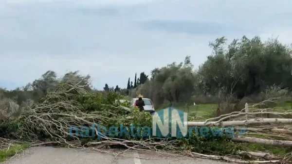 Καιρός: Τους πήρε και τους σήκωσε στη Δυτική Ελλάδα – Ξεριζωμένα δέντρα και περιορισμοί στη Γέφυρα Ρίου – Αντιρίου