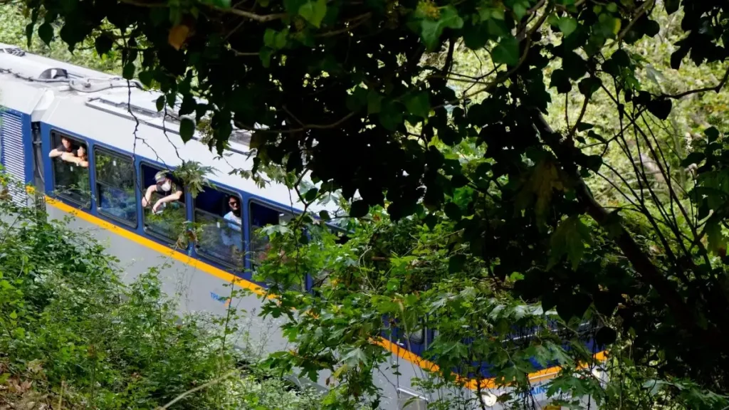 Καλάβρυτα: Διακόπηκαν τα δρομολόγια του Οδοντωτού λόγω πτώσης δέντρου στις ράγες