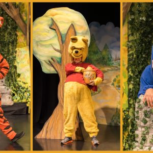 Η παιδική θεατρική παράσταση «Ο Γουίνι και οι φίλοι του: Αποστολή Τιγροσύνη!» έρχεται στη Λαμία