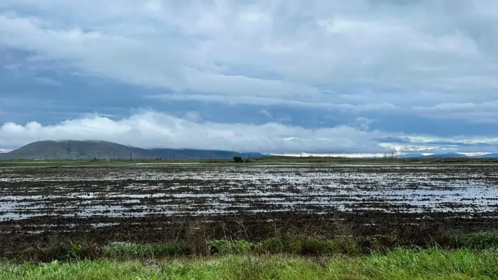 Κακοκαιρία: Ήχησε το 112 στη Ροδόπη – Φόβοι για υπερχείλιση ποταμών
