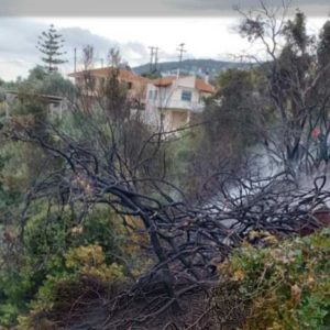 Άναψαν φωτιές οι ισχυροί νοτιάδες στην Εύβοια